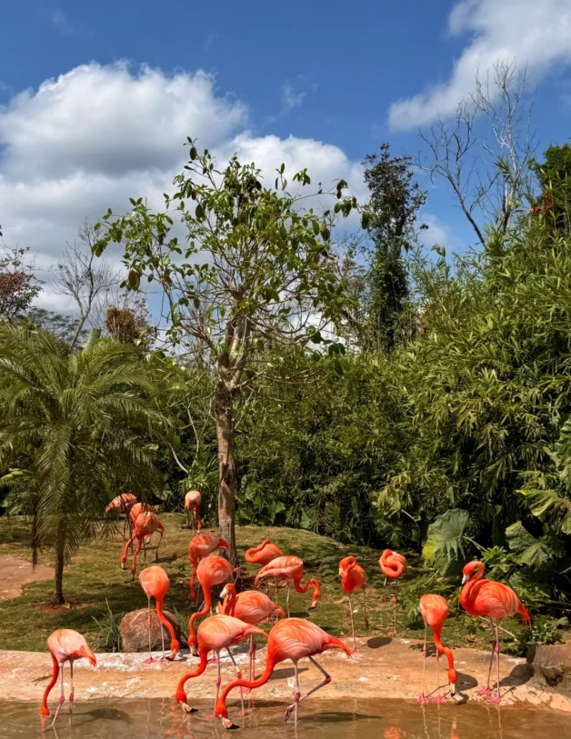 Hainan family attraction Hainan family attraction