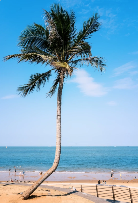 Haikou rainy season