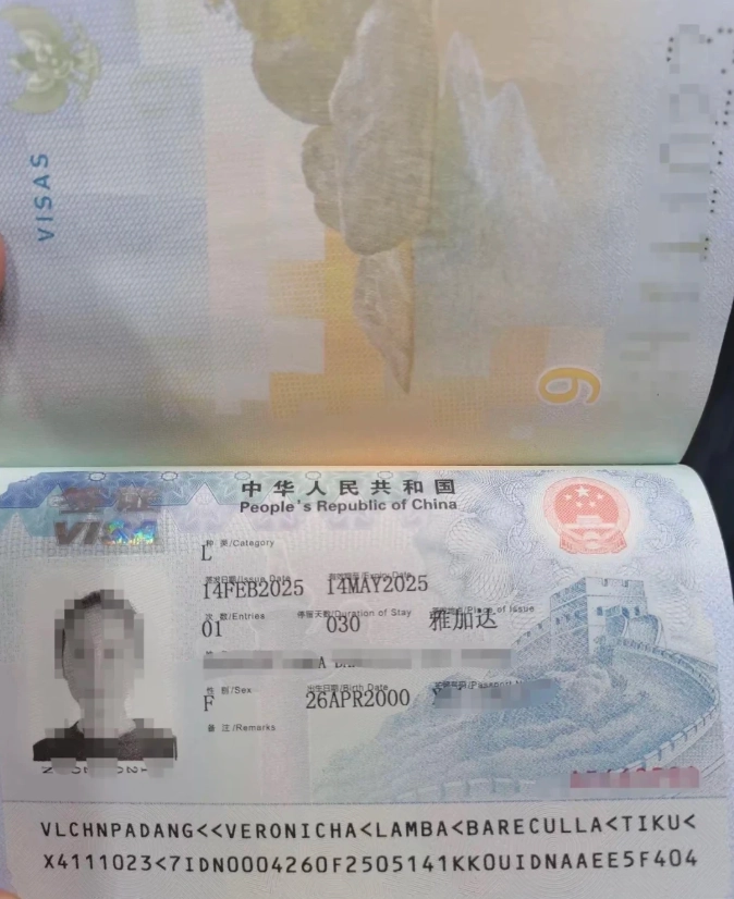 china tourist visa china tourist visa