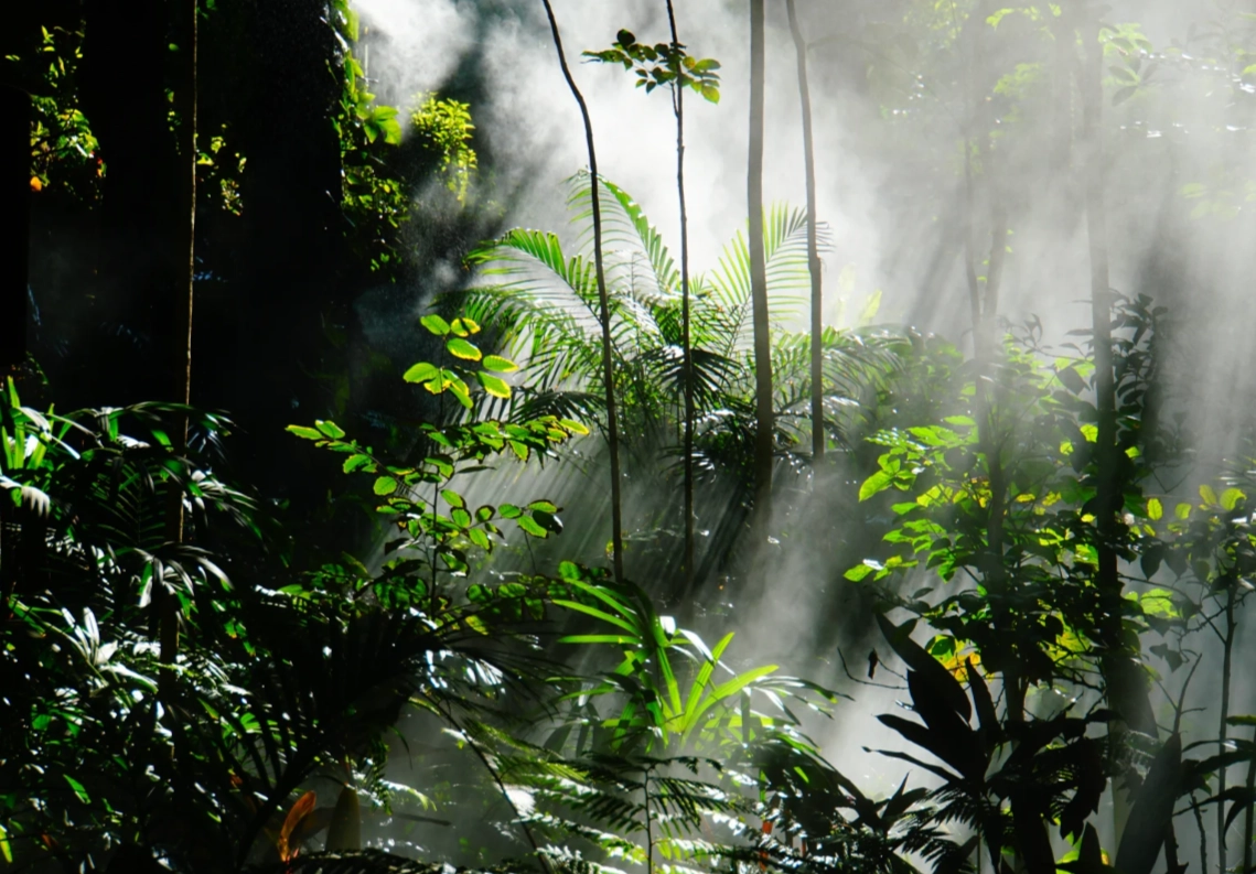Xiamen Botanical Garden tickets