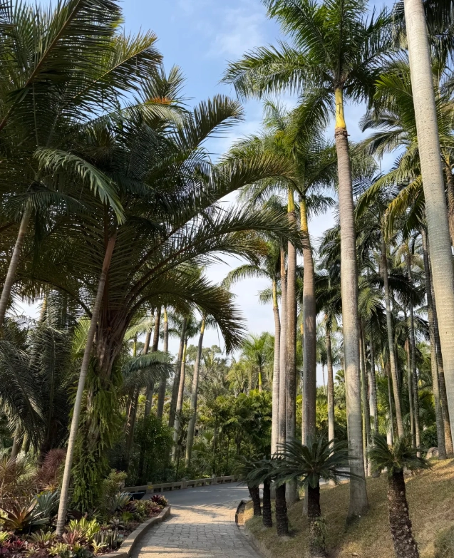 xiamen botanical garden how to get there xiamen botanical garden how to get there