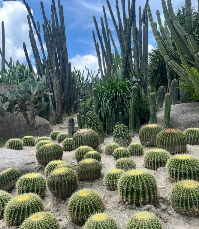 Xiamen Botanical Garden hours Xiamen Botanical Garden hours