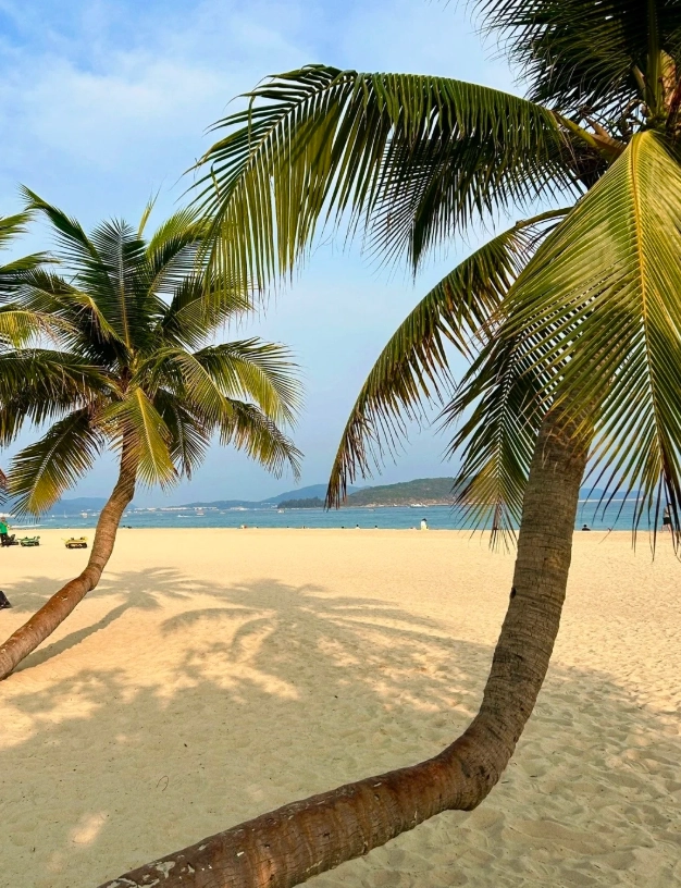 Yalong Bay Sanya hours Yalong Bay Sanya hours