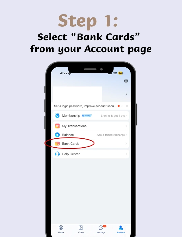 using international visa with alipay