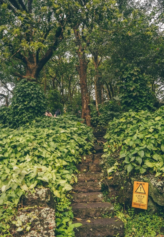 Haikou volcanic park tips