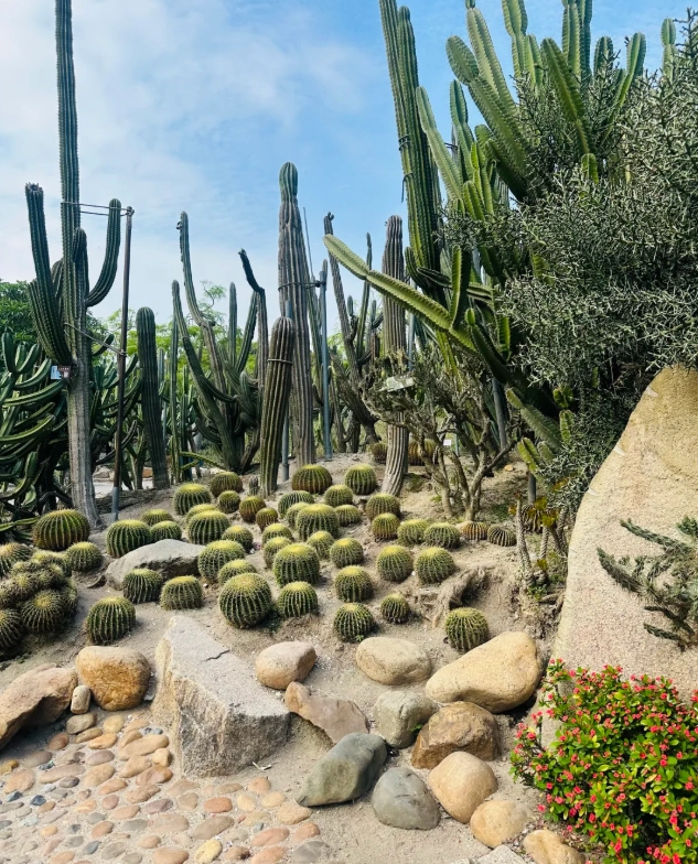 xiamen botanical garden opening hours xiamen botanical garden opening hours