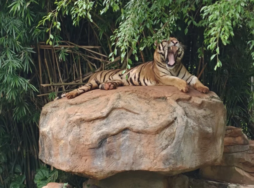 things to do in Hainan with kids