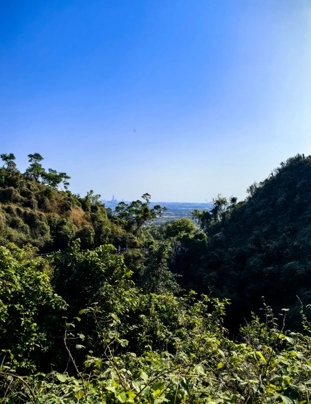 Haikou volcanic park opening times