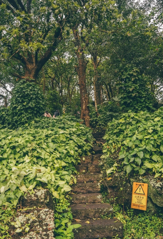Haikou volcano park hiking routes Haikou volcano park hiking routes