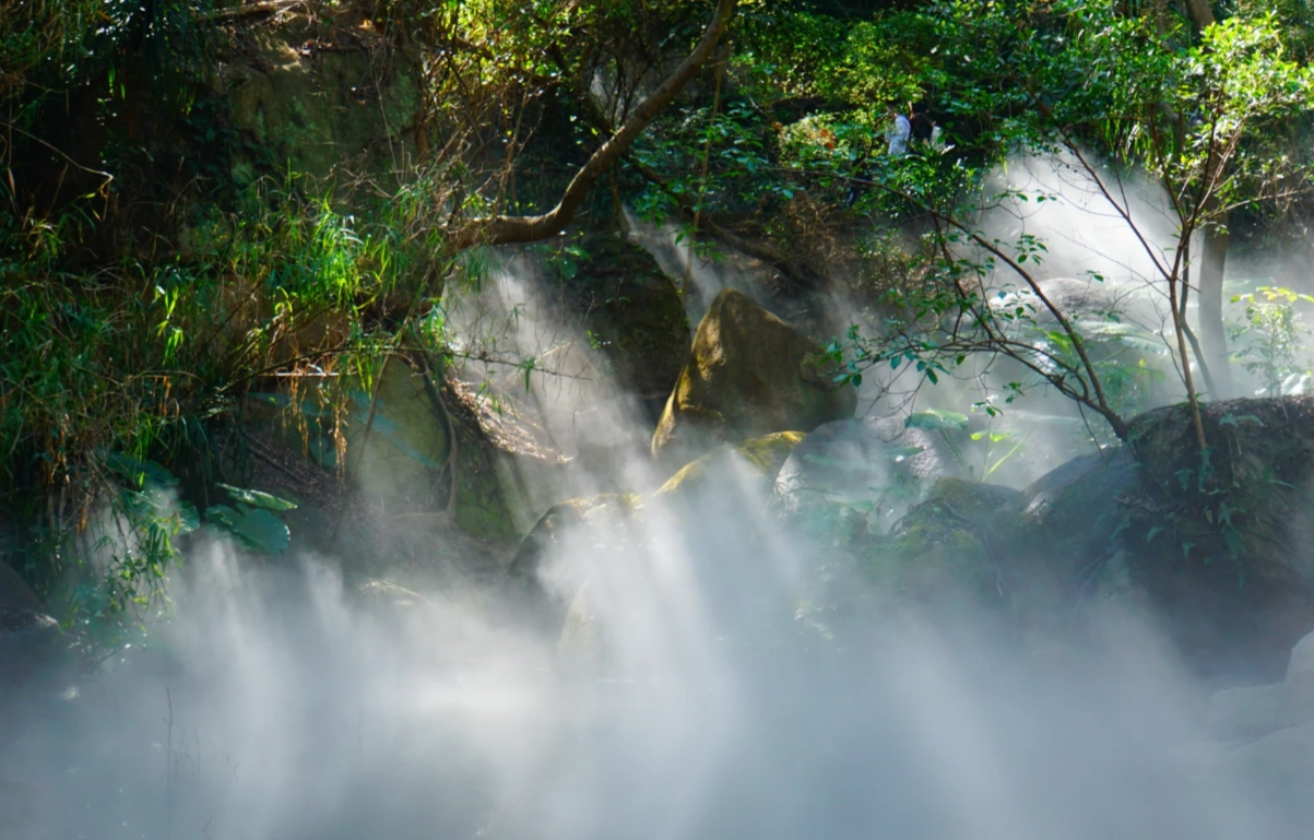 Xiamen Botanical Garden hours