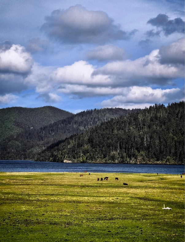 Yunnan nature photography