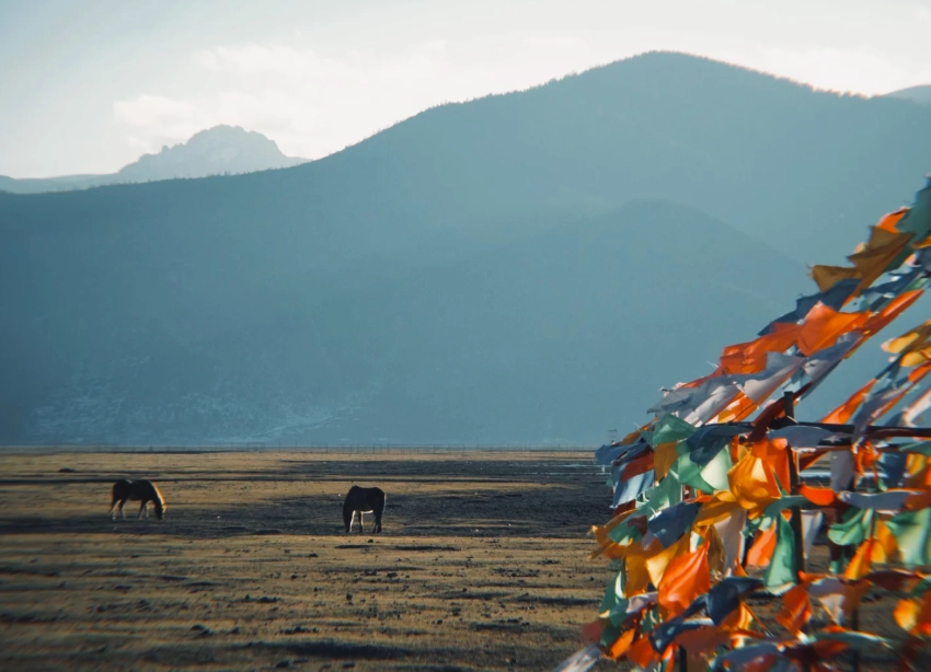 Tibetan culture Shangri-La Tibetan culture Shangri-La