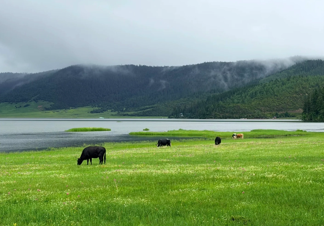 Pudacuo National Park Day Trip: 5 Mistakes Smart Travelers Avoid