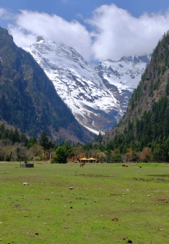 yubeng village tips
