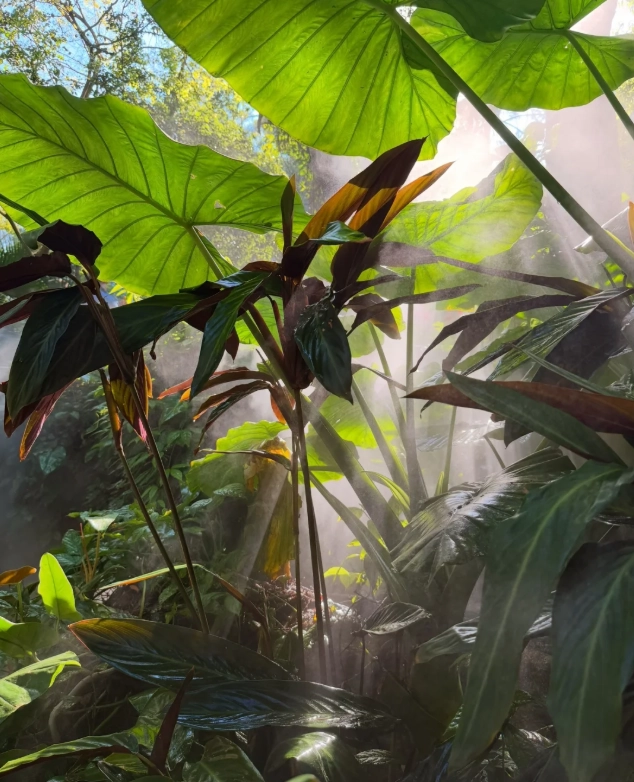 Xiamen Botanical Garden visit duration