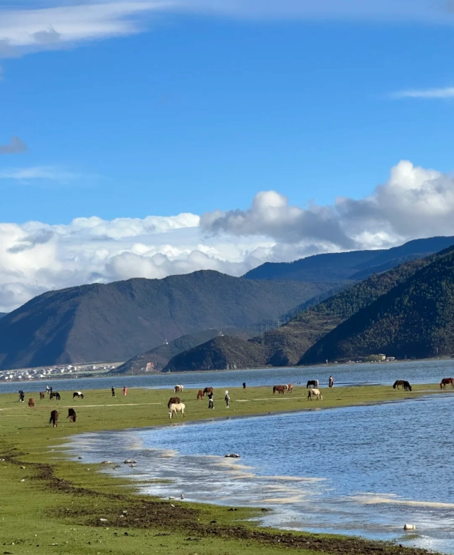 Shangri-La Budget Travel: Insider Tips for Under $30/Day