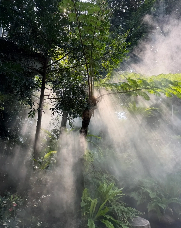 best photo locations Xiamen Botanical Garden