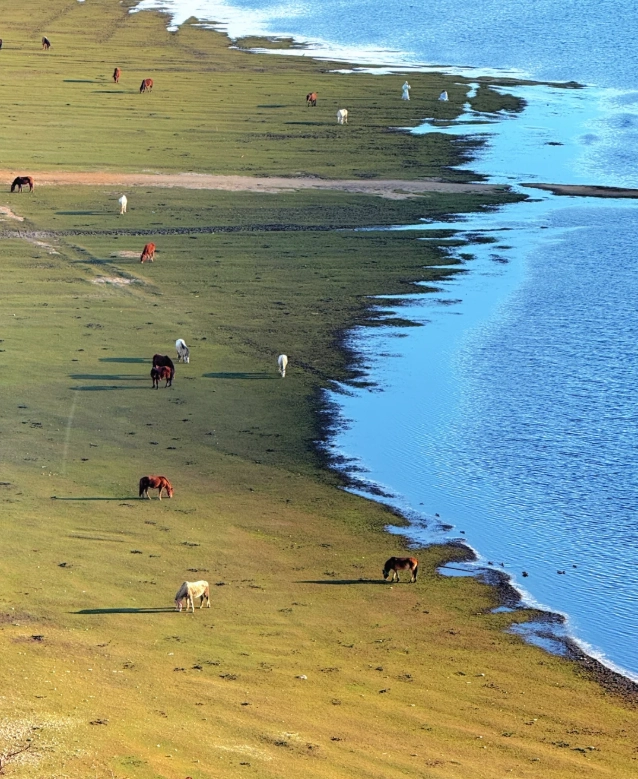 what to do in Shangri-La for a few hours