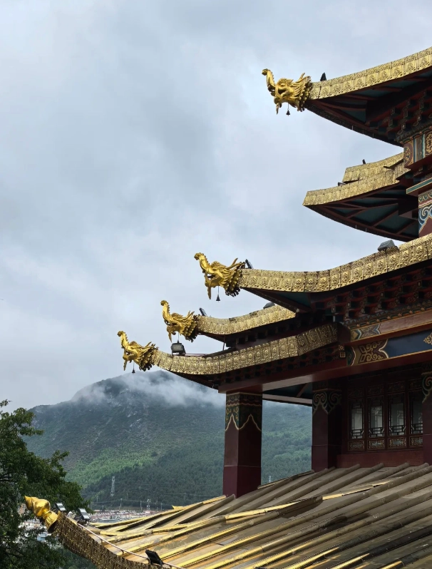 things to do in Shangri-La