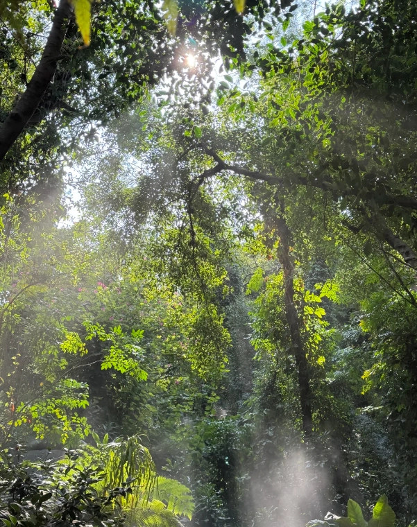 Xiamen Botanical Garden photo tips