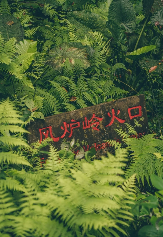 best time to visit haikou volcanic park