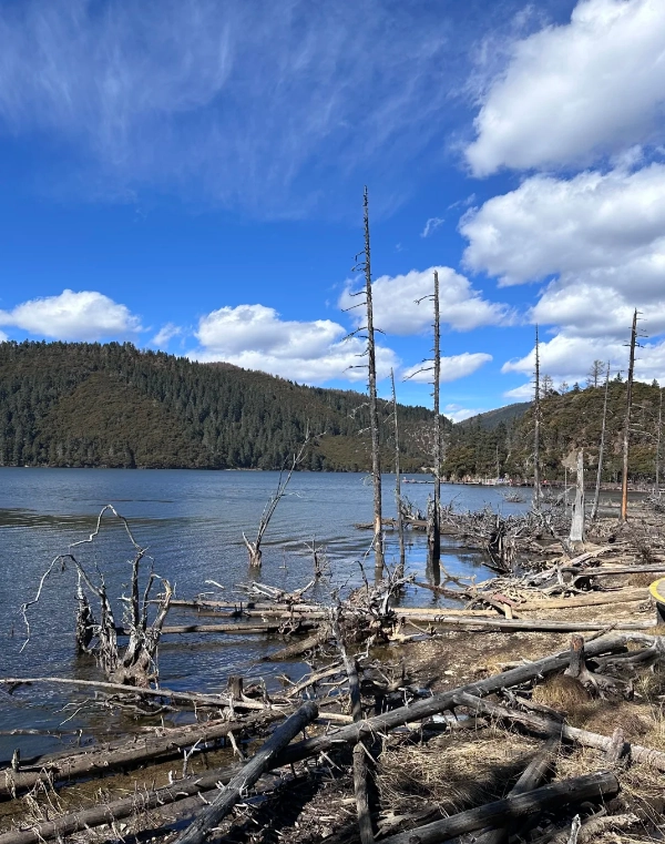 Pudacuo National Park hiking trails