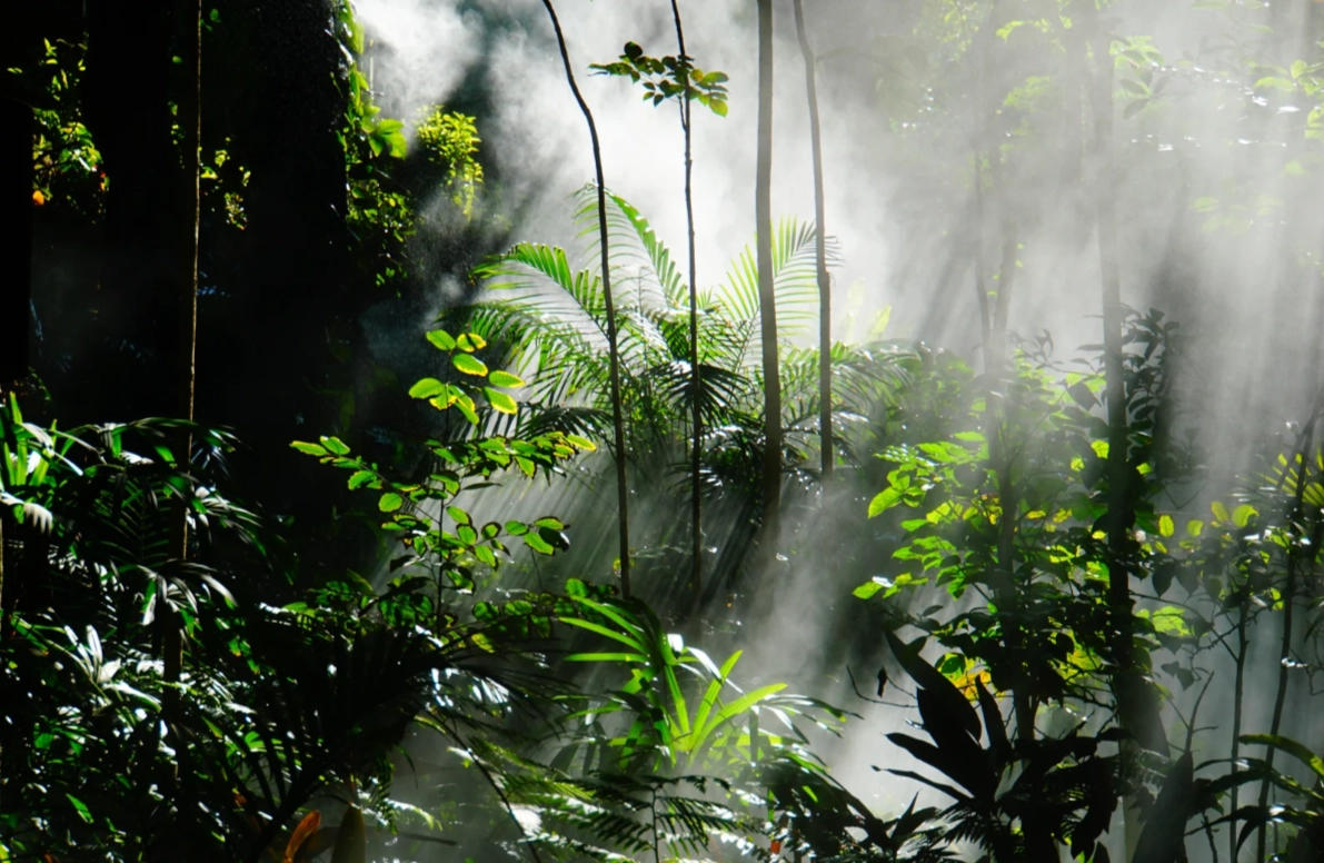 Xiamen Botanical Garden visit duration