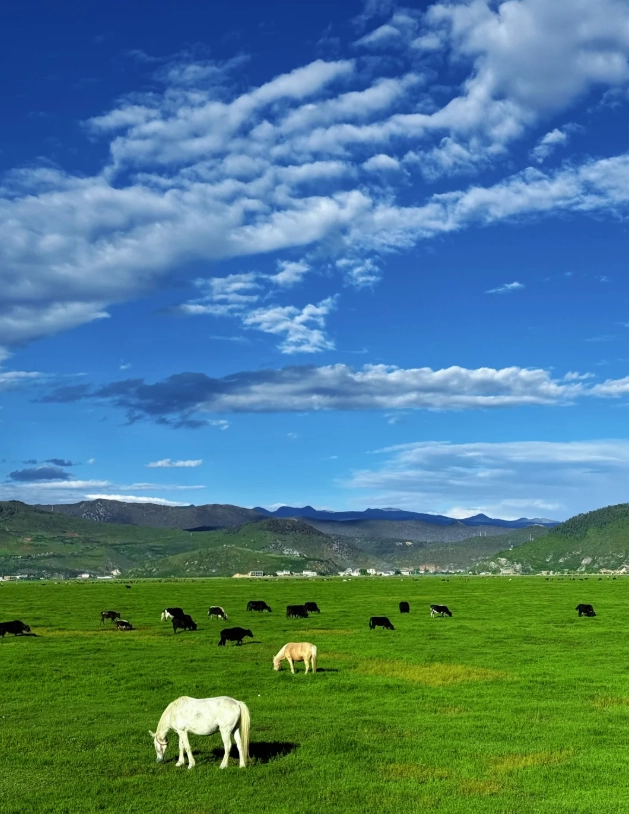 Diqing travel