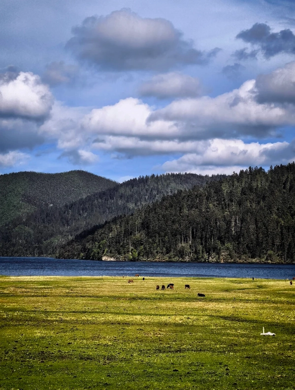 pudacuo national park yunnan