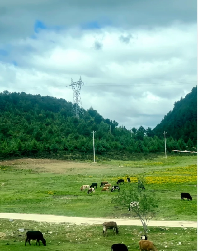Pudacuo National Park from Shangri-La