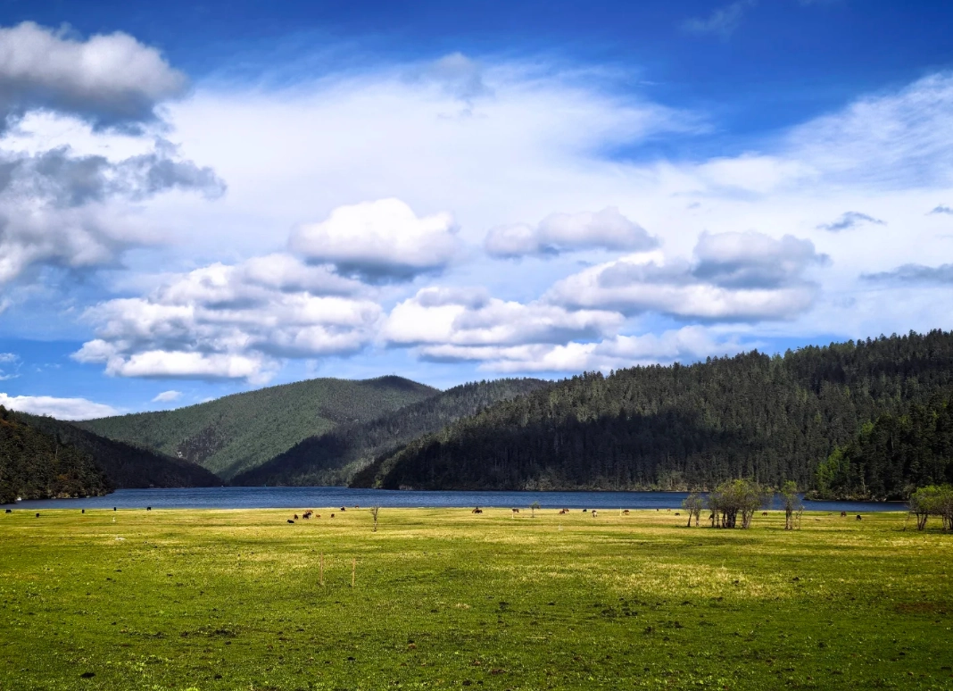 Shangri-La travel tips Shangri-La travel tips