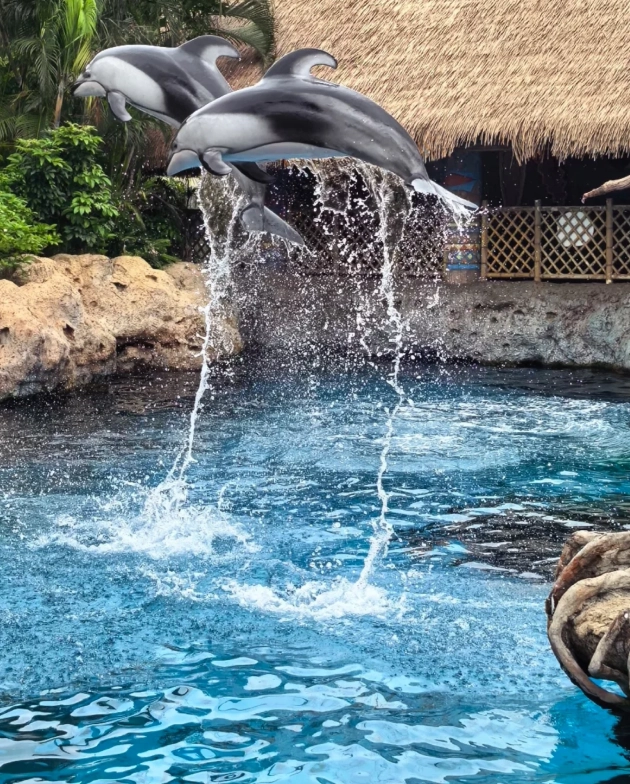 How to Visit Chimelong Ocean Kingdom: Insider Tips for Foreign Tourists
