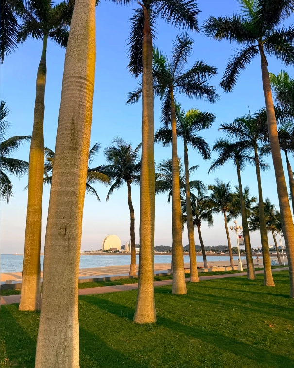 cheap things to do in Zhuhai