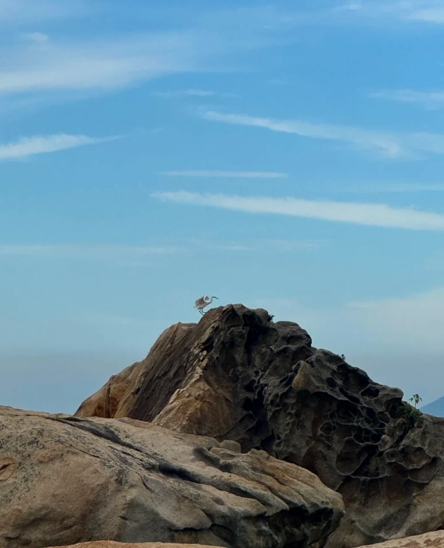 things to do in Zhuhai