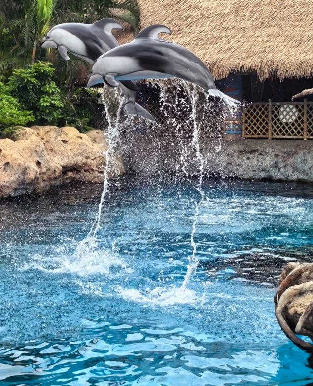 Chimelong Ocean Kingdom duration