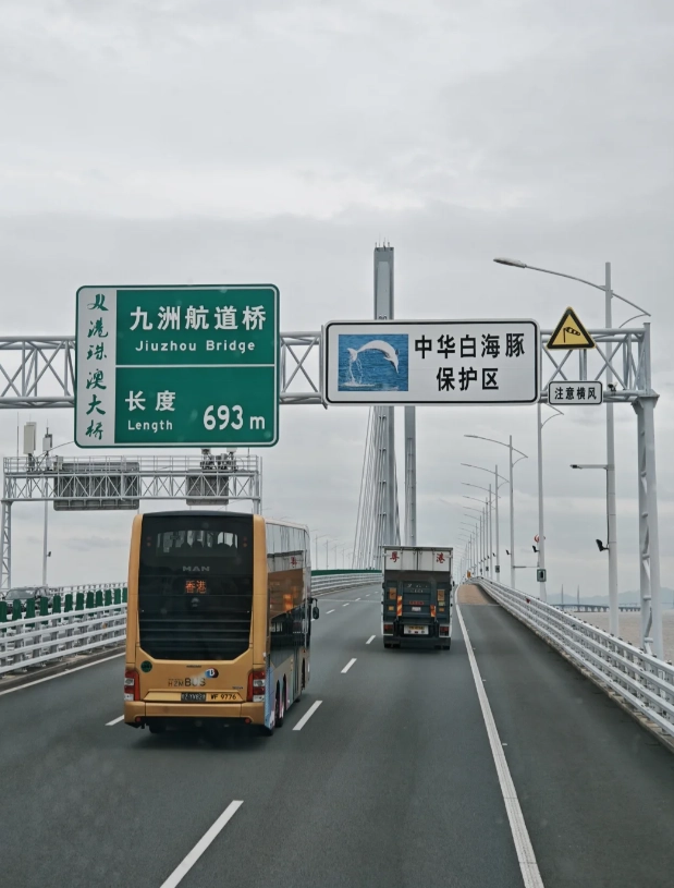 HZMB bridge tour best time