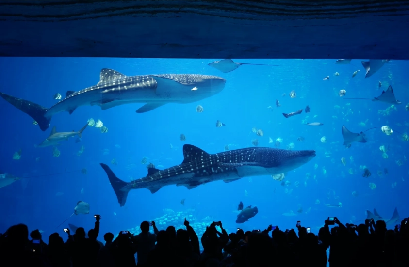 things to do in Zhuhai