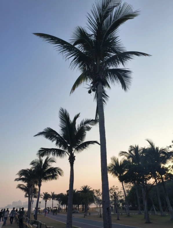 best beaches in Zhuhai