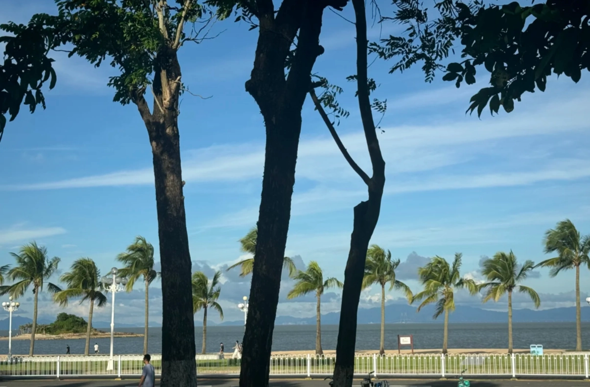 Zhuhai weather by month