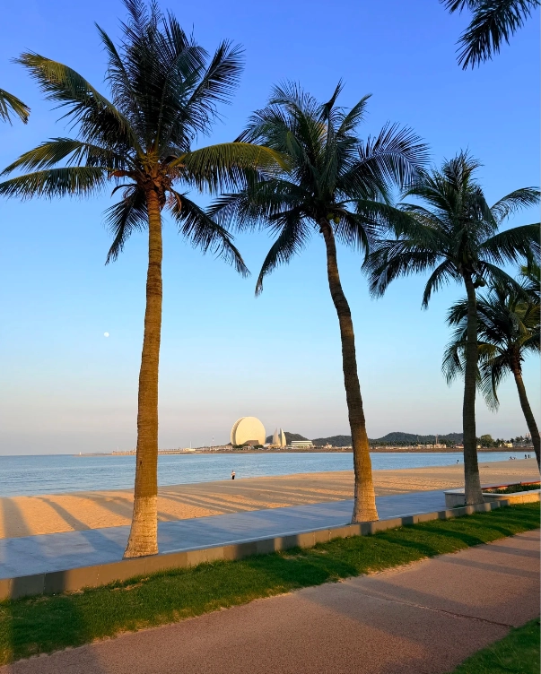 budget-friendly Zhuhai