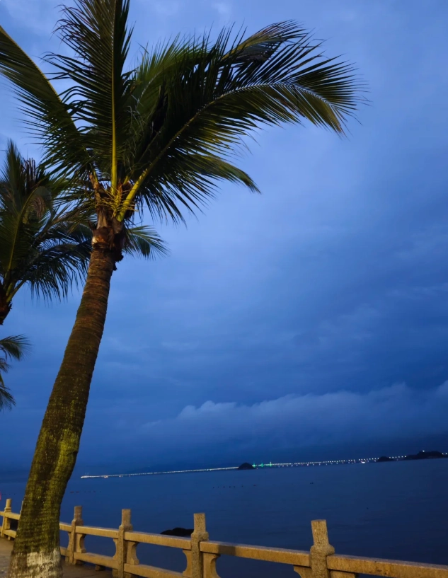 Xiamen romantic walk