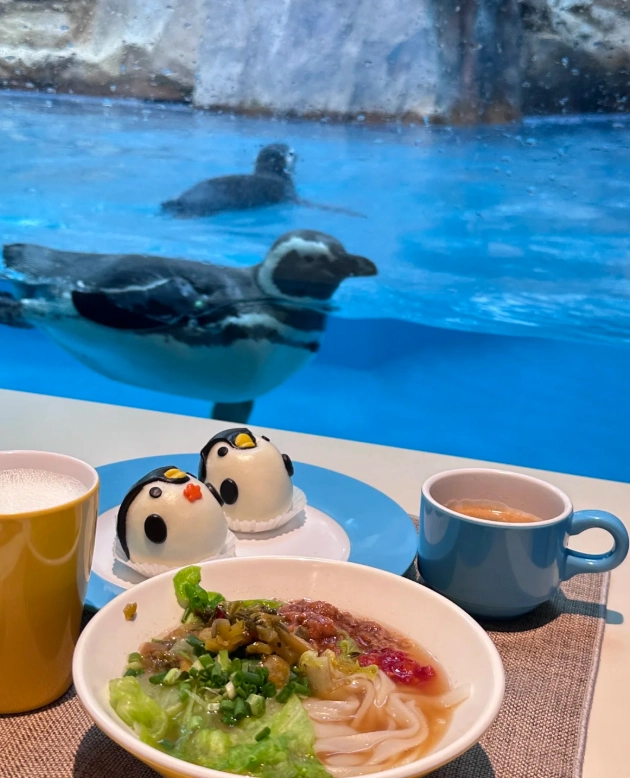 where to stay in Zhuhai for Chimelong