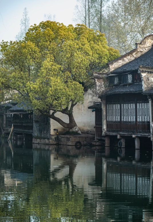 how to get to wuzhen from shanghai