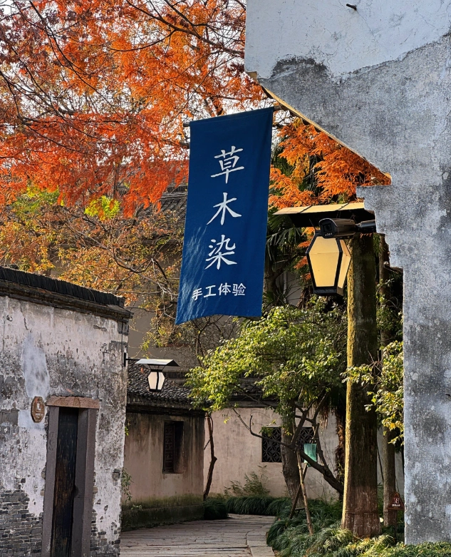 Jiaxing autumn attractions