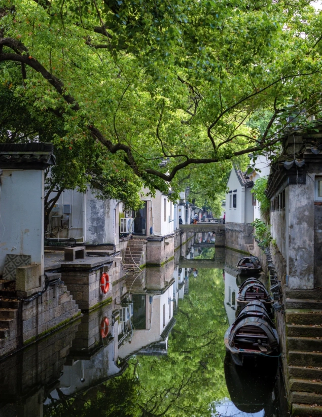 Xitang vs Wuzhen