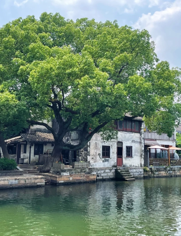 xitang ticket prices