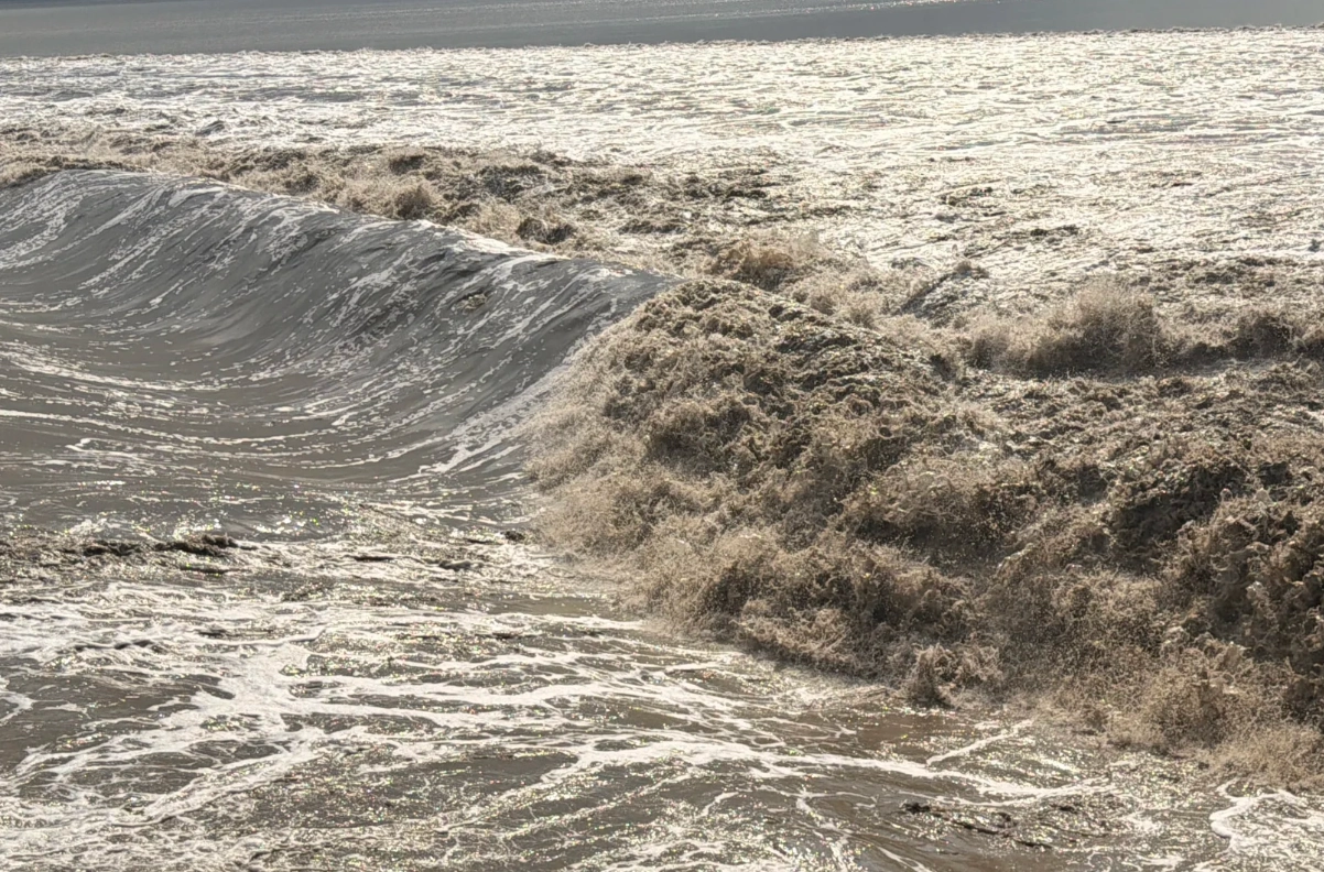 Yanguan tide viewing