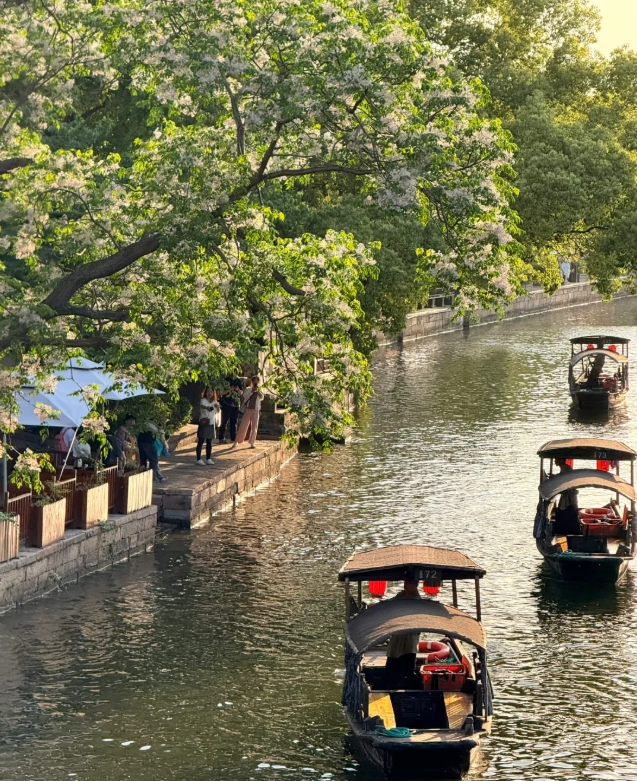 Jiaxing local guide