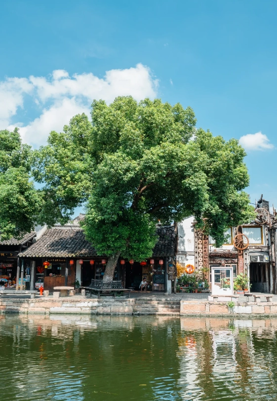 when to go to Xitang