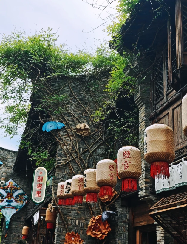 Haining travel guide